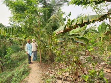 Mr Nageswara Rao from Guntur district of Andhra Pradesh following Palekar Five Layer Fruit Forest Model since 2019