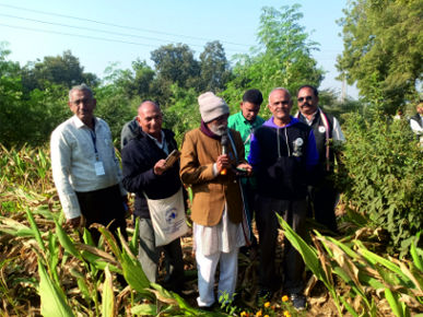 Palekar Five Layer Food Forest Model Visit Tour