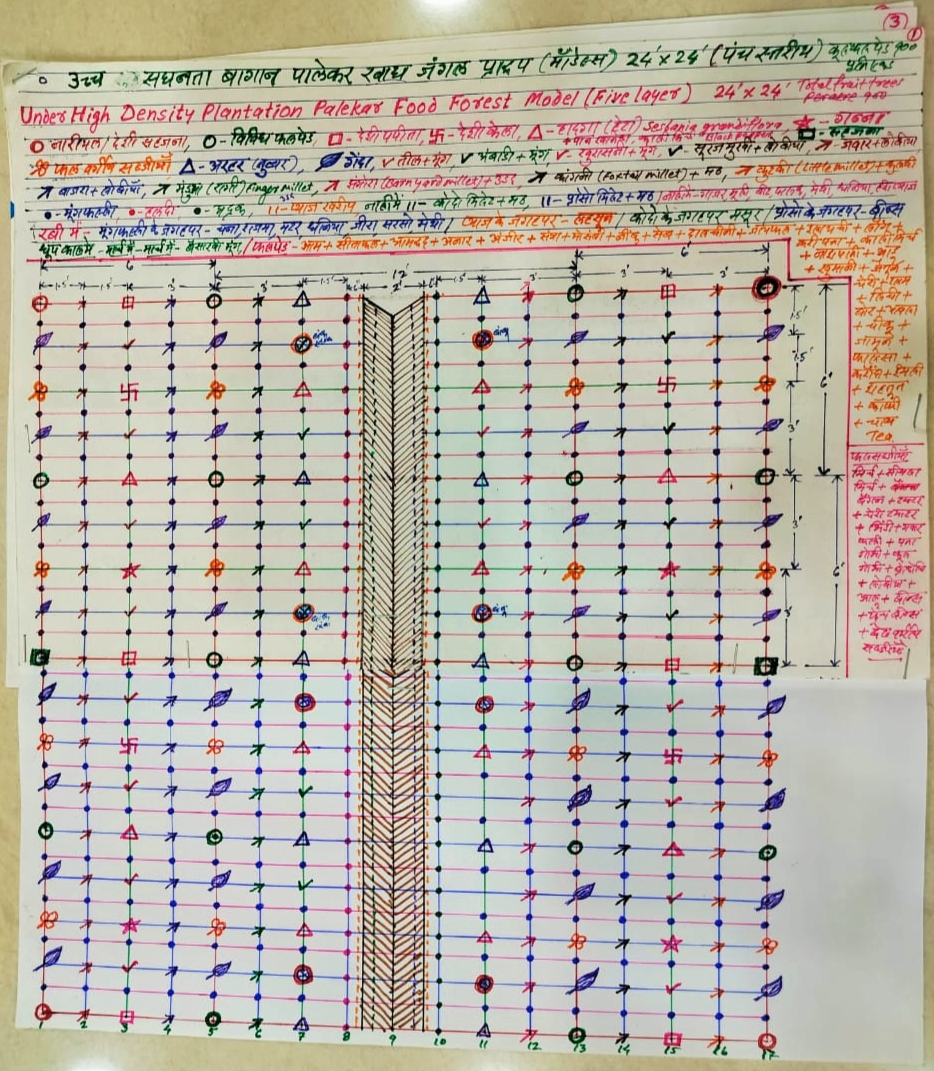 Palekar Five Layer Food Forest Model 24 feet x 24 feet